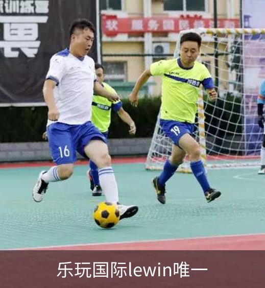 乐玩国际lewin唯一概况